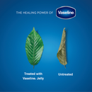 Vaseline Petroleum Jelly 50ml